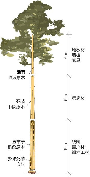 avt-fig31-cn.jpg